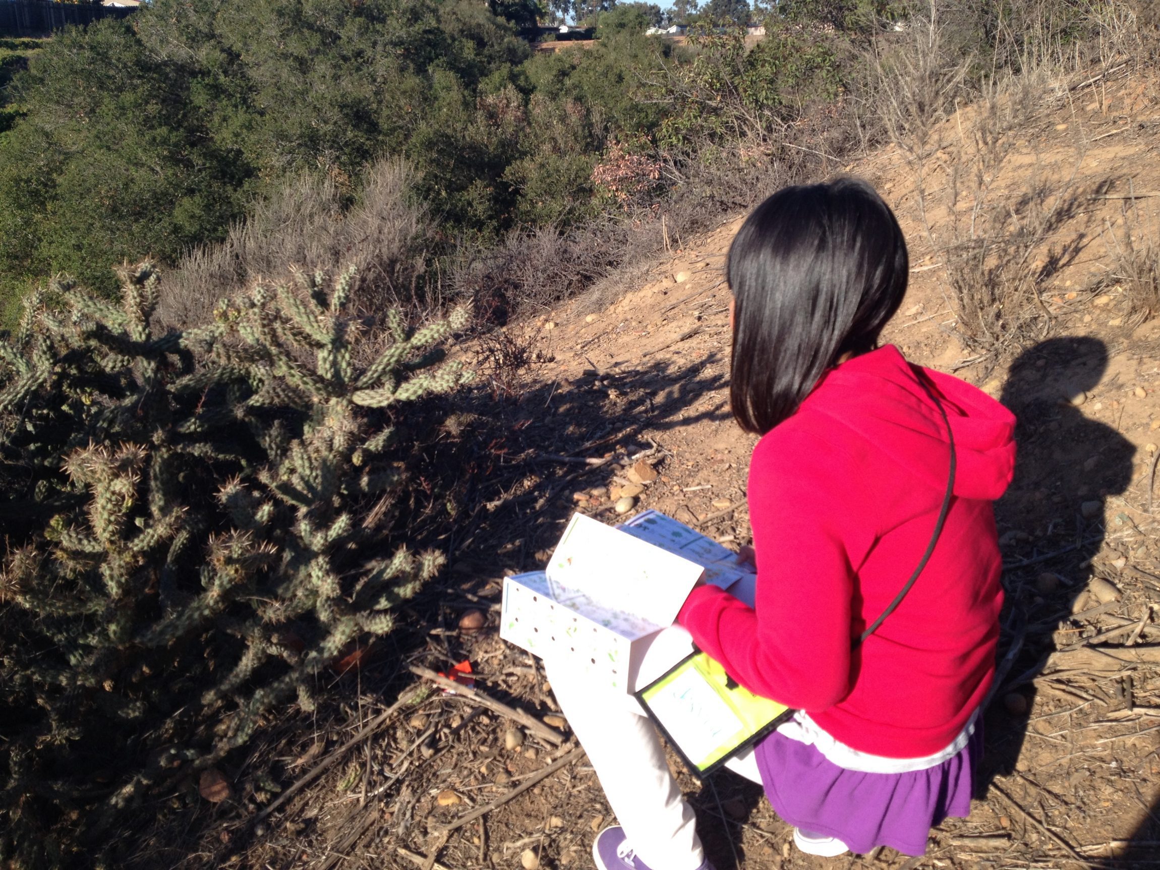 Giving kids a chance to learn about and appreciate nature (even if it's prickly)!
