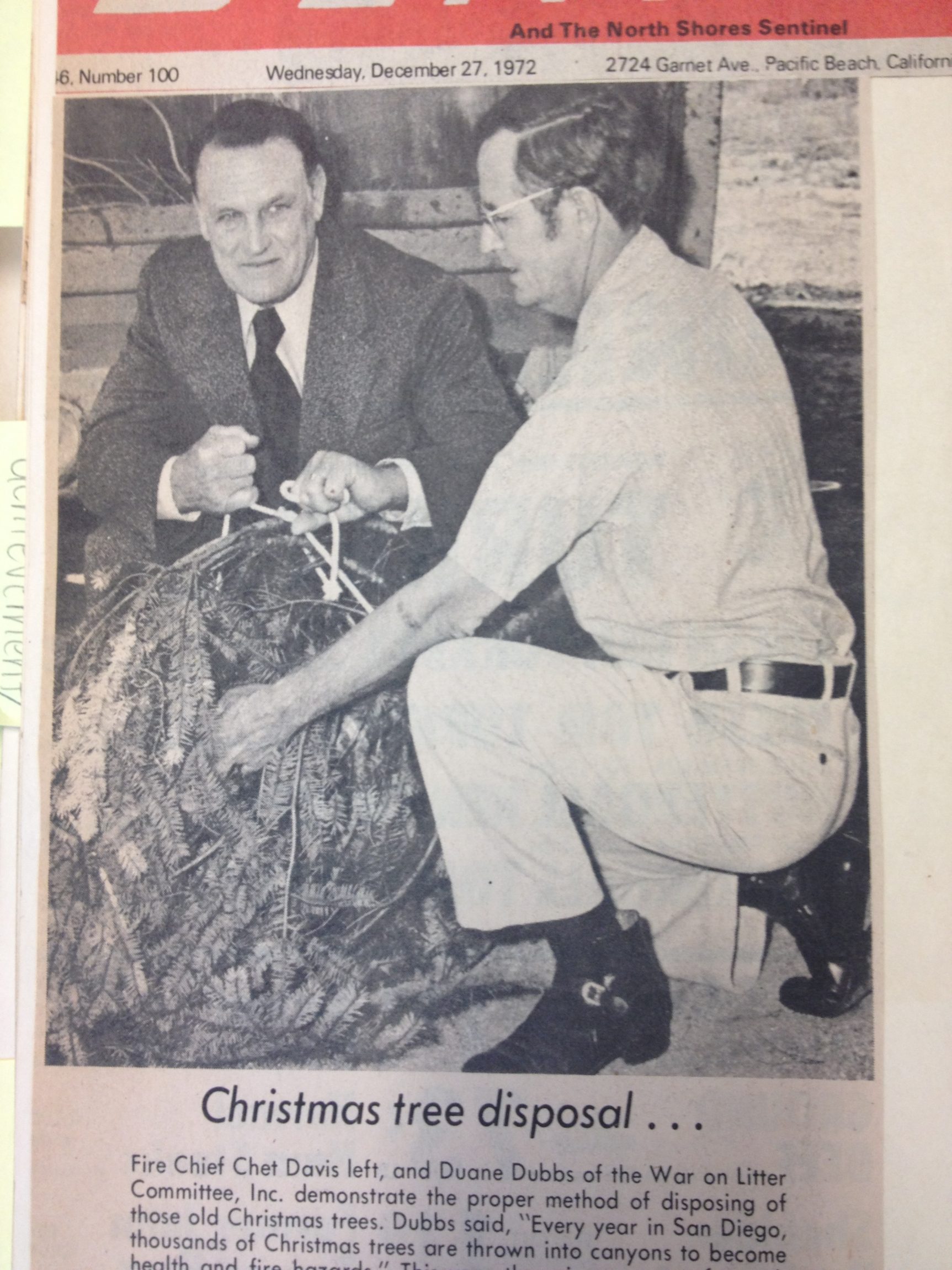 Holiday tree recycling - 1972
