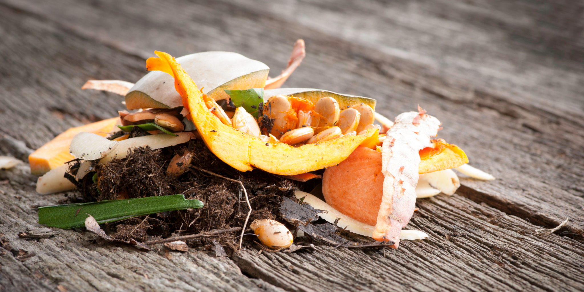 Pumpkin Composting 101 If It Grows, It Goes I Love A Clean San Diego