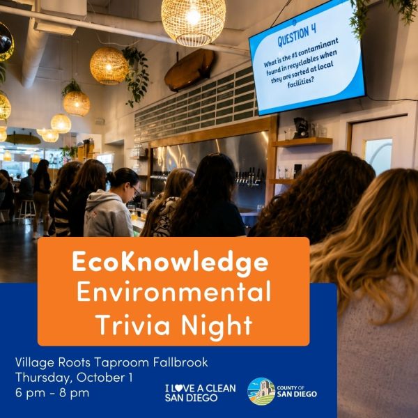 10.1 Trivia Graphic