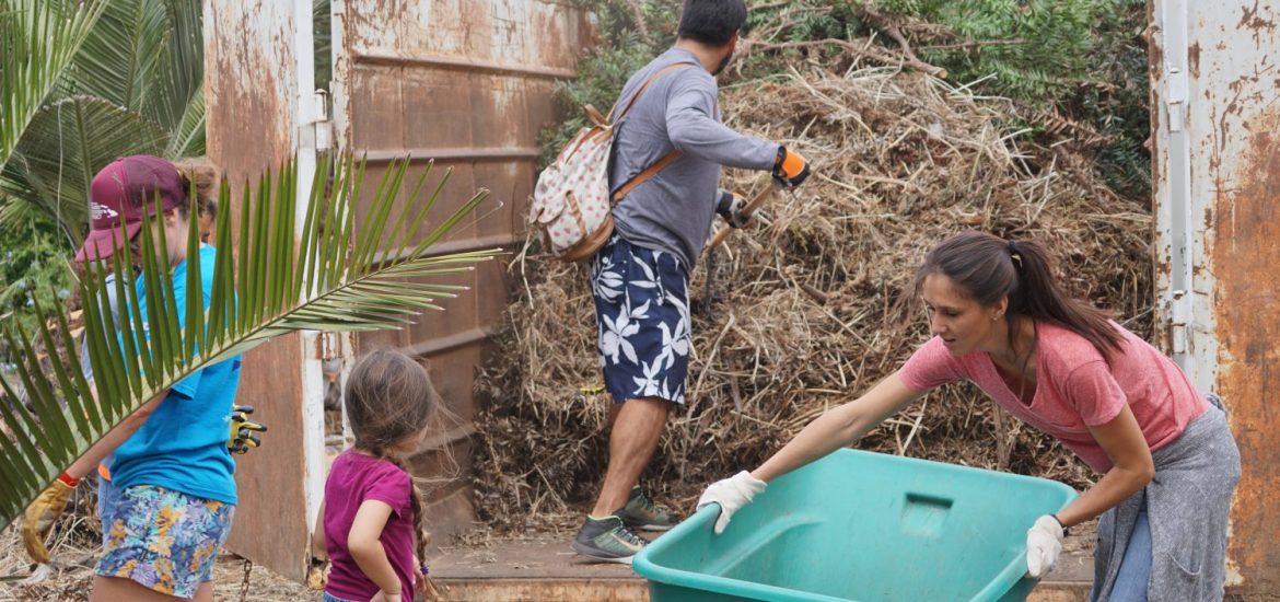 Volunteers preparing an area to be mulched.