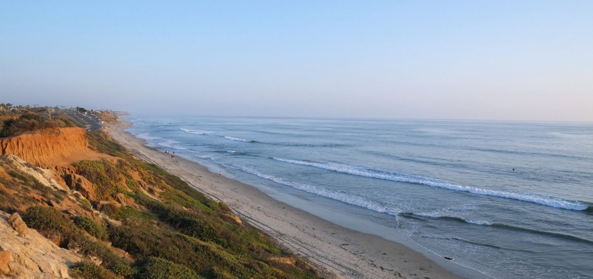 Celebrate Sustainability