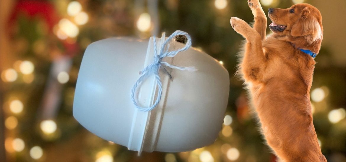 Blog DIY_ Doggie Poop Bag Holder