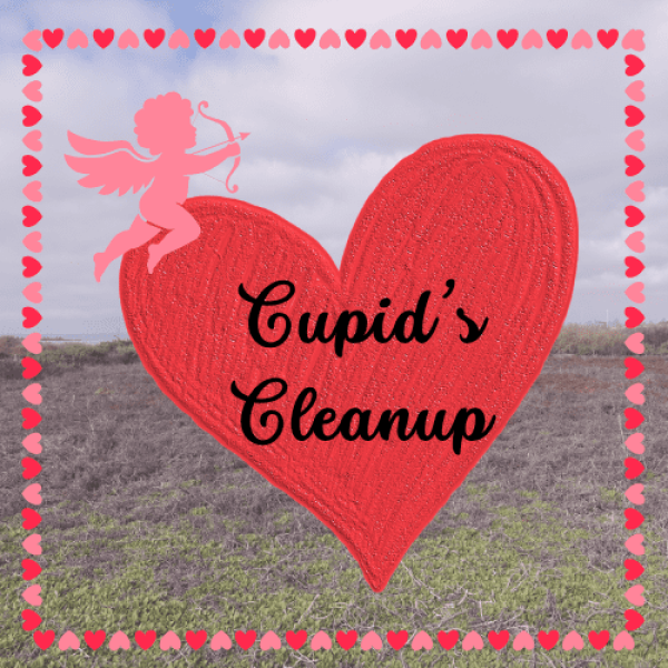 Cupid's Cleanup 2 (Logo)