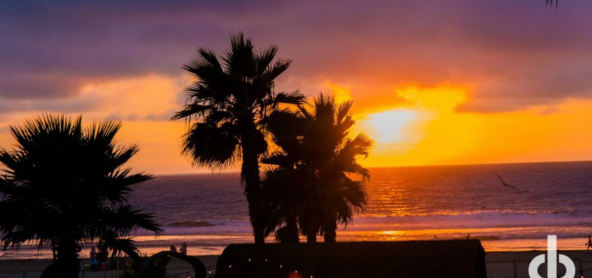 fall-social-15_belmont-park_chris-brake-photography-126-web-banner-version