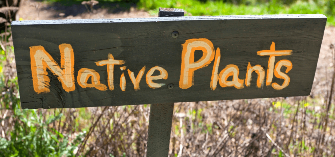 Hero-Image-4-e1680202623291-1