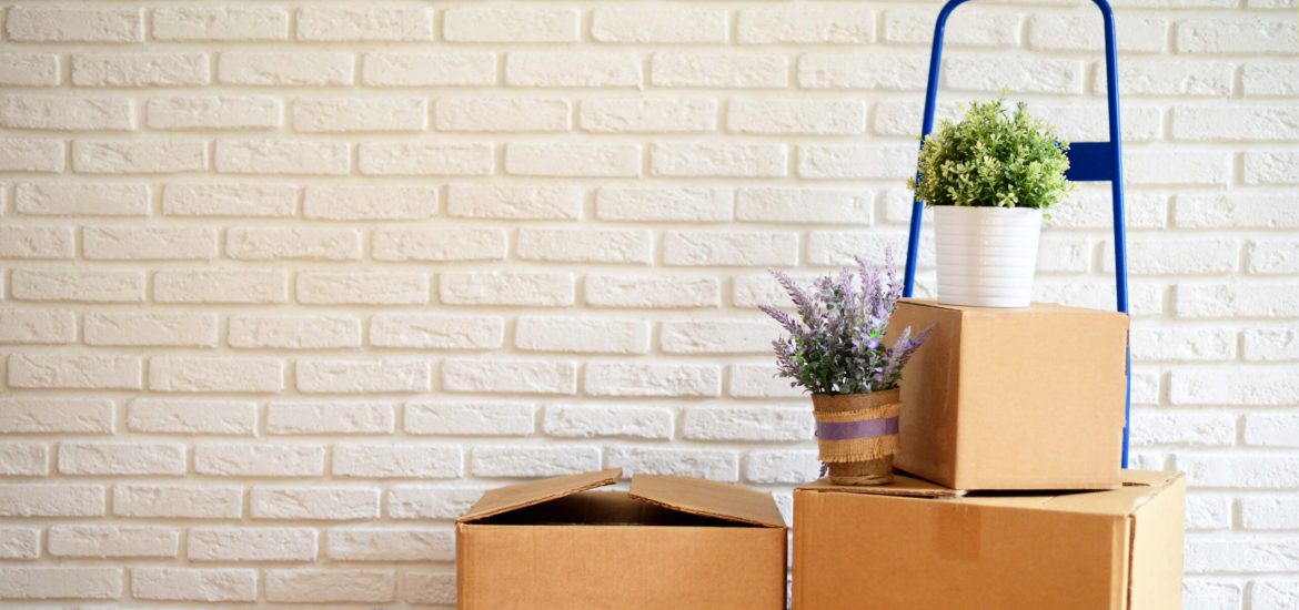 Hero-Image-Looking-To-Move-e1684185291195-1