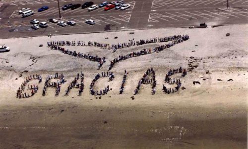 Kids_ Ocean Day 2000