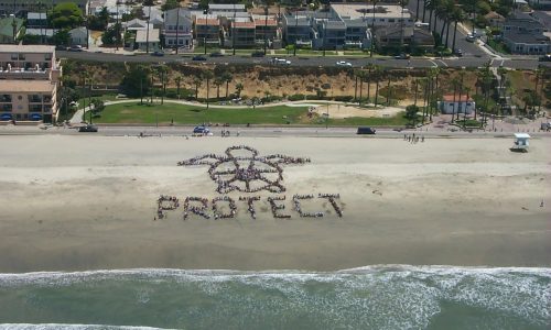 Kids_ Ocean Day 2002