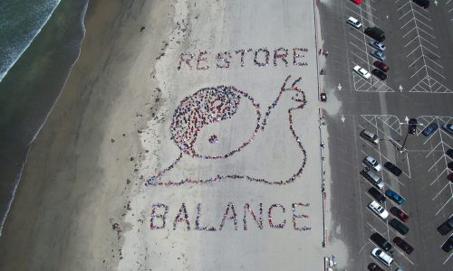 Kids_ Ocean Day 2005