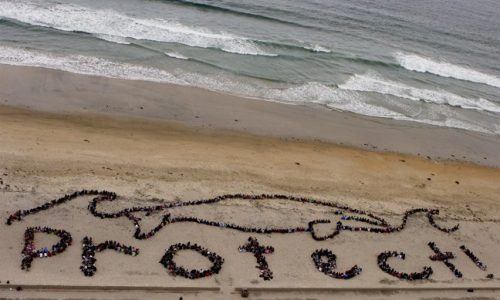 Kids_ Ocean Day 2007