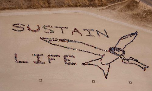 Kids_ Ocean Day San Diego 2010