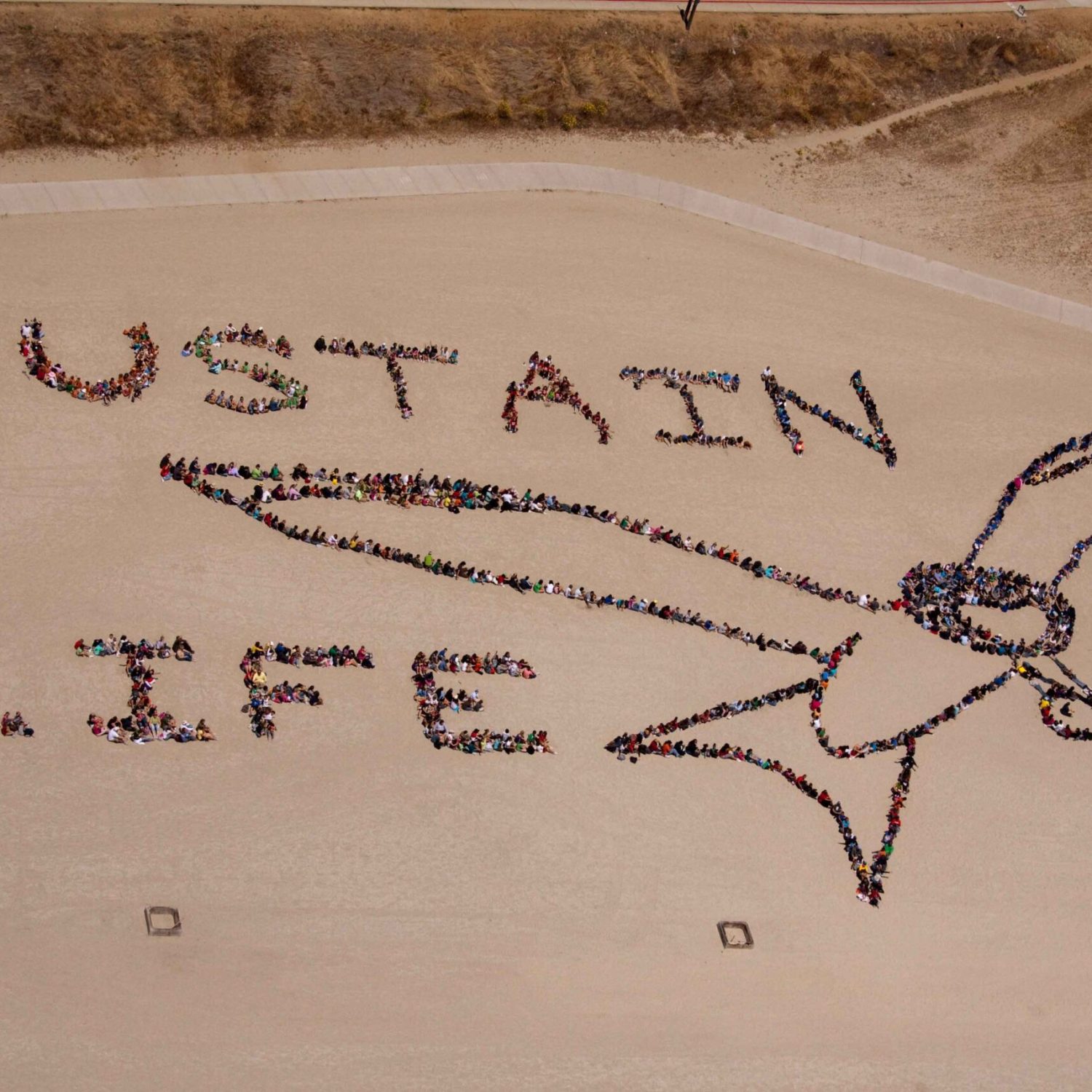 Kids_ Ocean Day San Diego 2010