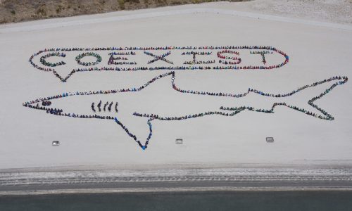 Kids_ Ocean Day San Diego 2011