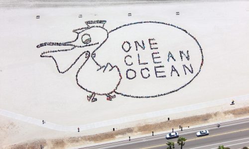 Kids_ Ocean Day San Diego 2014