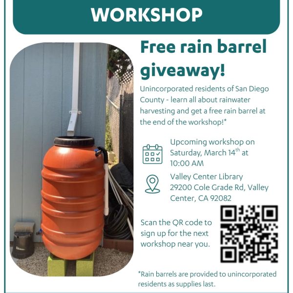 Rainwater Workshop Flyers