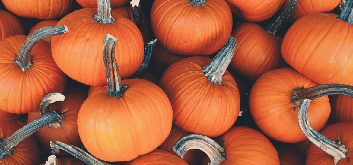 Reduce-Your-Waste-Halloween-Hero-Image-e1698094419600