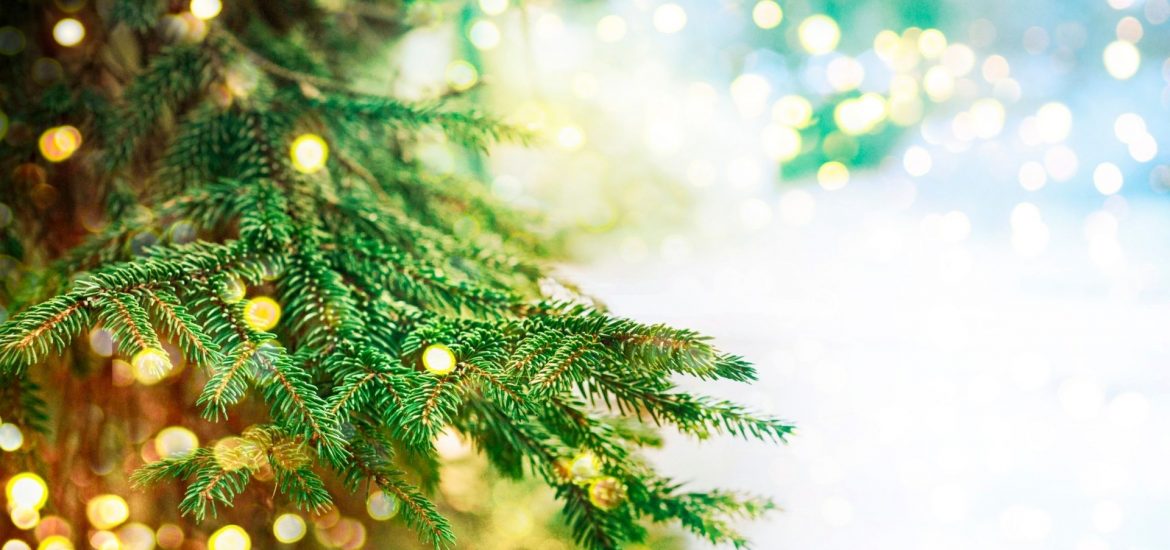 Christmas_Tree_Recycling
