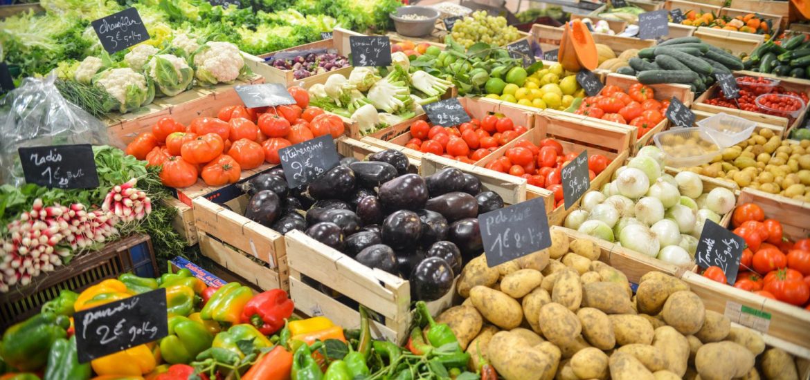 aubergines-bio-cabbage-5205