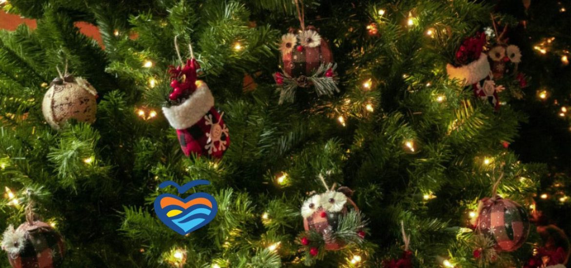 Christmas Tree Composting